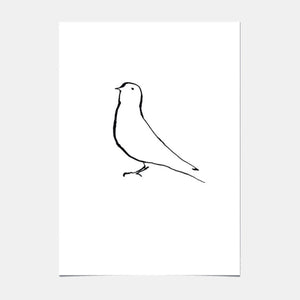Kunstposter - Vogel - 01