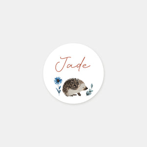 Stickers personnalisés naissance hérisson - 48ex