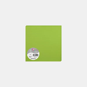 Card 160x160 vellum 210g mint green Pollen