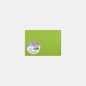 Card 110x155 vellum 210g mint green Pollen