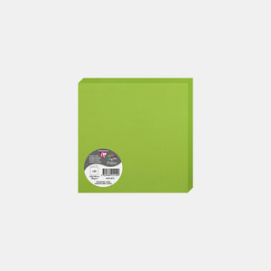 Pre-folded card 160x320 vellum 210g mint green Pollen