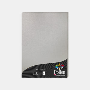 Schillerndes A4-Blatt 120 g silberner Pollen
