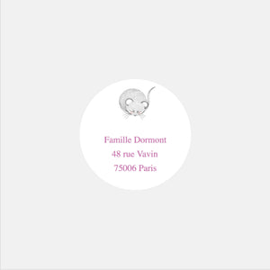 Personalized birth stickers my mouse - 48ex