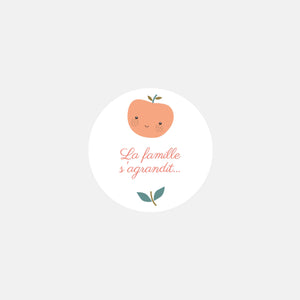 Stickers personnalisés naissance famille pommes - 48ex