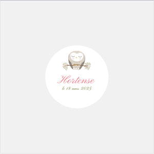 Stickers personnalisés naissance classique chouette - 48ex