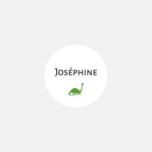 Stickers personnalisés naissance Clasique oetit dinosaure- 48ex