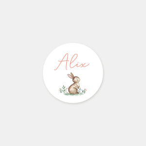 Stickers personnalisés naissance petit lapin - 48ex