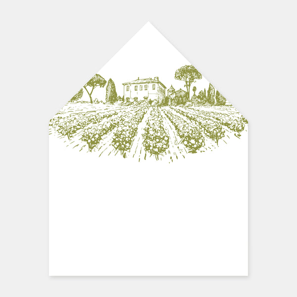 Doublure enveloppe gravure vignoble