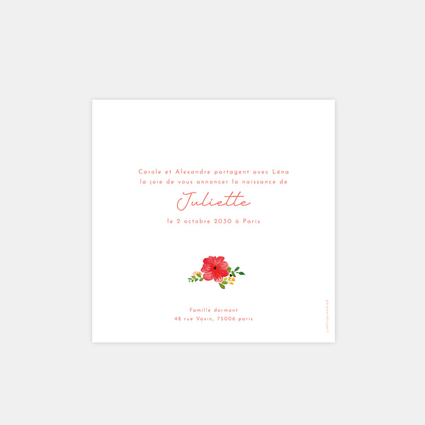Faire-part de naissance jardin de couleurs