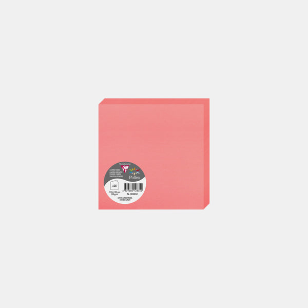 Carte pré pliée 135x270 velin 210g litchi Pollen