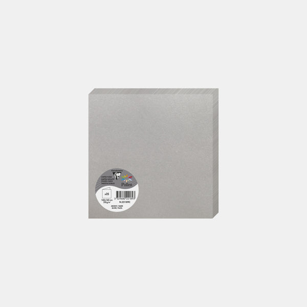 Carte pré pliée 160x320 irisé 210g argent Pollen