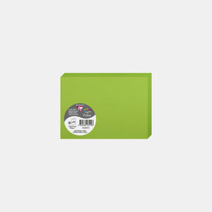 Pre-folded card 110x210 vellum 210g mint green Pollen
