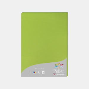 A4 vellum sheet 210g mint green Pollen