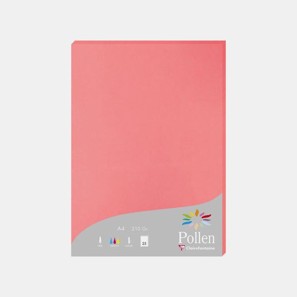 Feuille A4 velin 210g litchi Pollen
