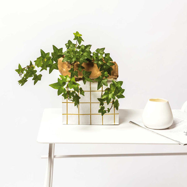 Sac en papier Fond plat or et blanc - small