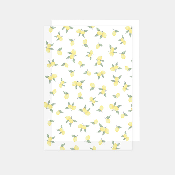 Feuille a4 papier calque imprimé 90g citrons