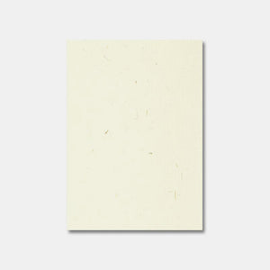 Packung mit 20 Blatt A4-Strohpapier 200 g