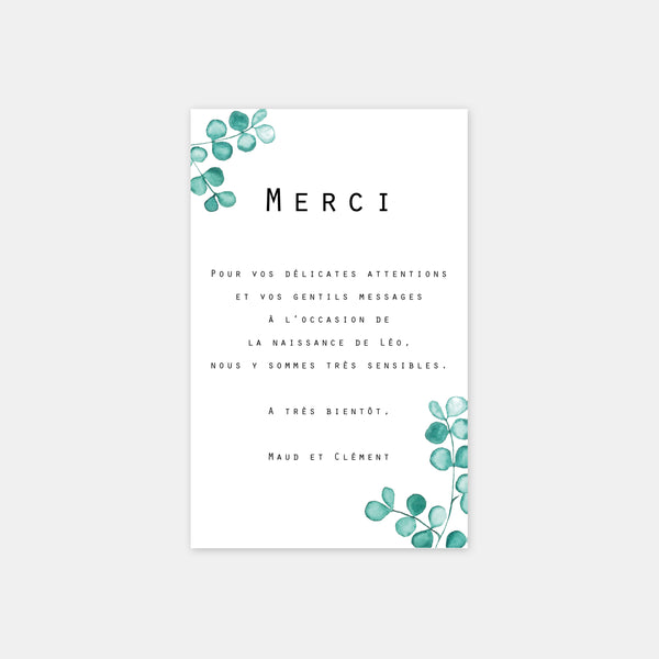 Carte de remerciement naissance Eucalyptus