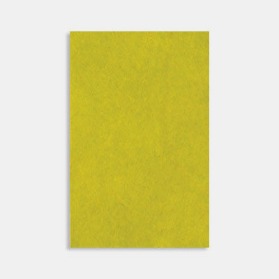 Feuille a4 papier nepalais 90g anis gr8