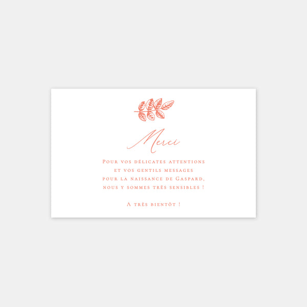 Birth thank you card Toile de jouy