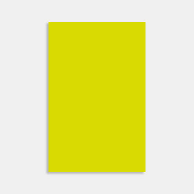 Feuille a4 papier skin 270g anis